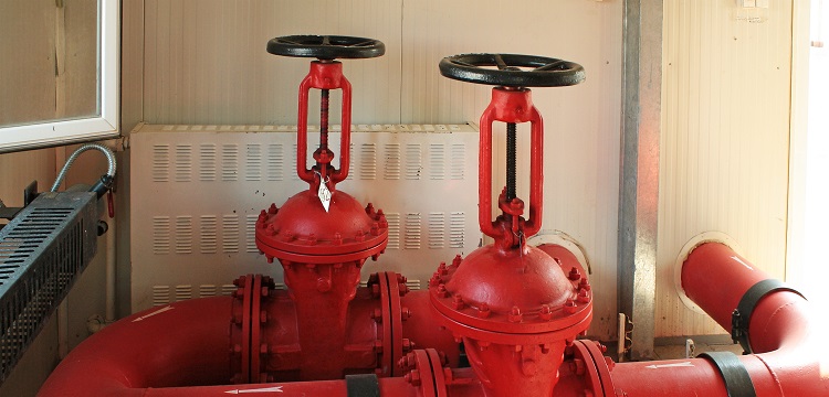 微生物安全健康網(wǎng)，微生物檢測如何規(guī)范操作 ?在微生物檢測實(shí)踐中，什么時(shí)候需要檢測參考菌群 參考菌群的檢測有何意義 ?健明迪