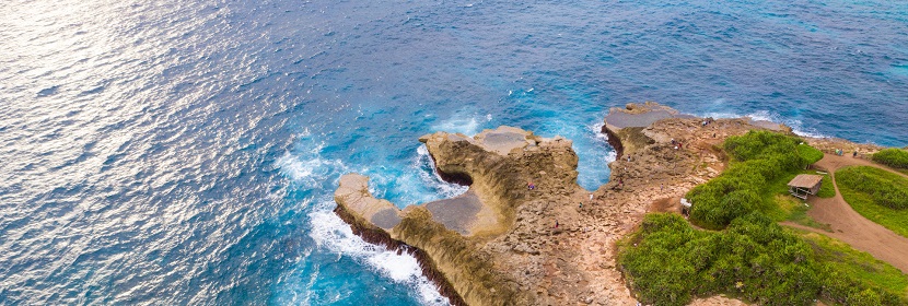 海洋生態(tài)預警監(jiān)測