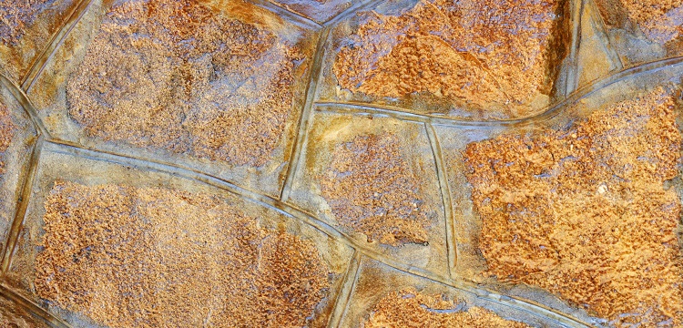 揮發性氣體檢測